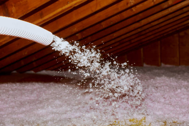 Best Insulation for Specific Applications in Val Verde, CA