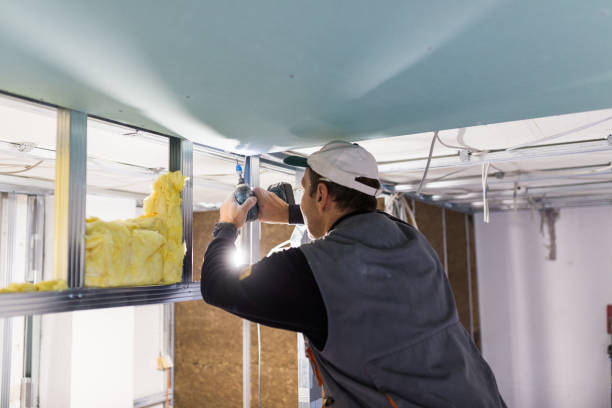 Best Insulation for Specific Applications in Val Verde, CA